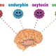 Illustration for article titled Possibly the Worst Misuse of Neuroscience Ever